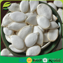 snow white pumpkin seeds